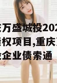 重庆万盛城投2024年债权项目,重庆万盛城投企业债索通