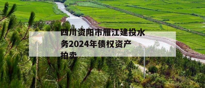 四川资阳市雁江建投水务2024年债权资产拍卖