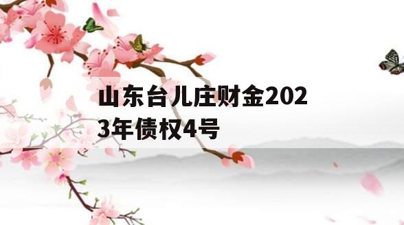 山东台儿庄财金2023年债权4号