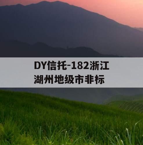 DY信托-182浙江湖州地级市非标