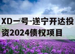 XD一号-遂宁开达投资2024债权项目